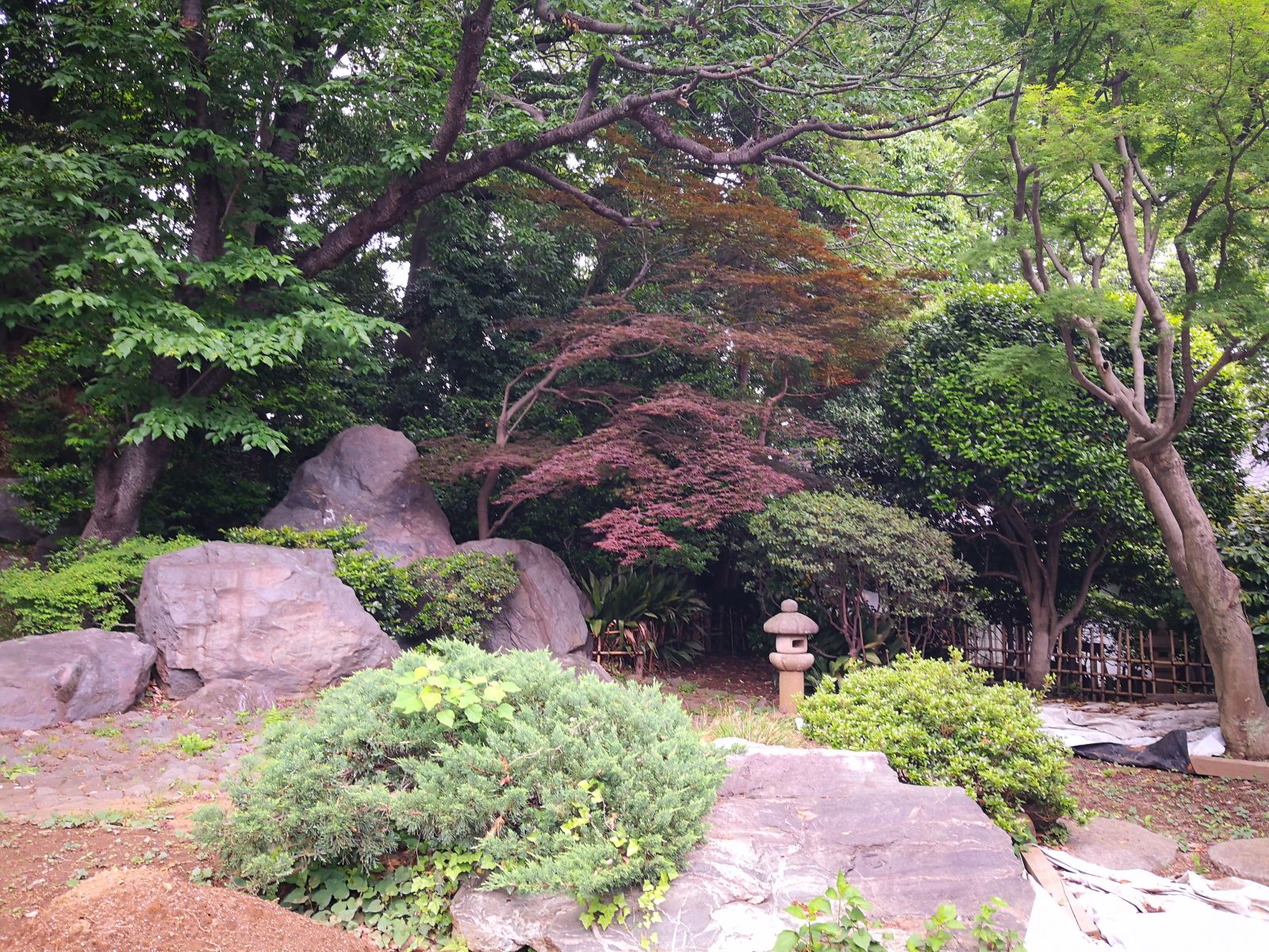 感受日本現(xiàn)代景觀和知名建筑 對話禪僧大師枡野俊明