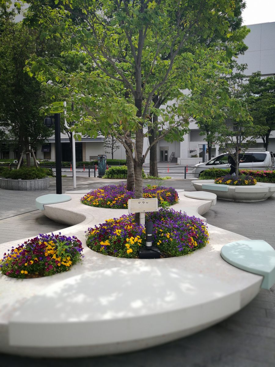 感受日本現(xiàn)代景觀和知名建筑 對話禪僧大師枡野俊明