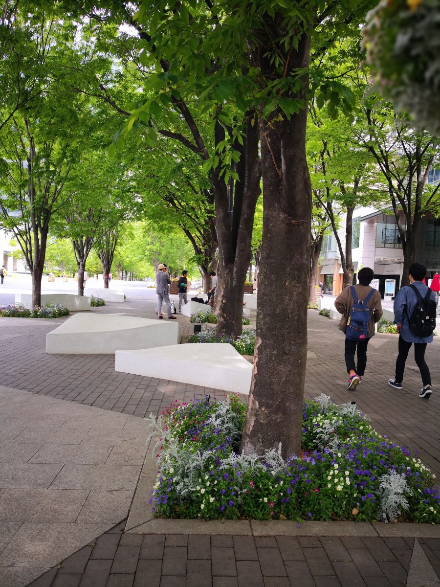 感受日本現(xiàn)代景觀和知名建筑 對話禪僧大師枡野俊明