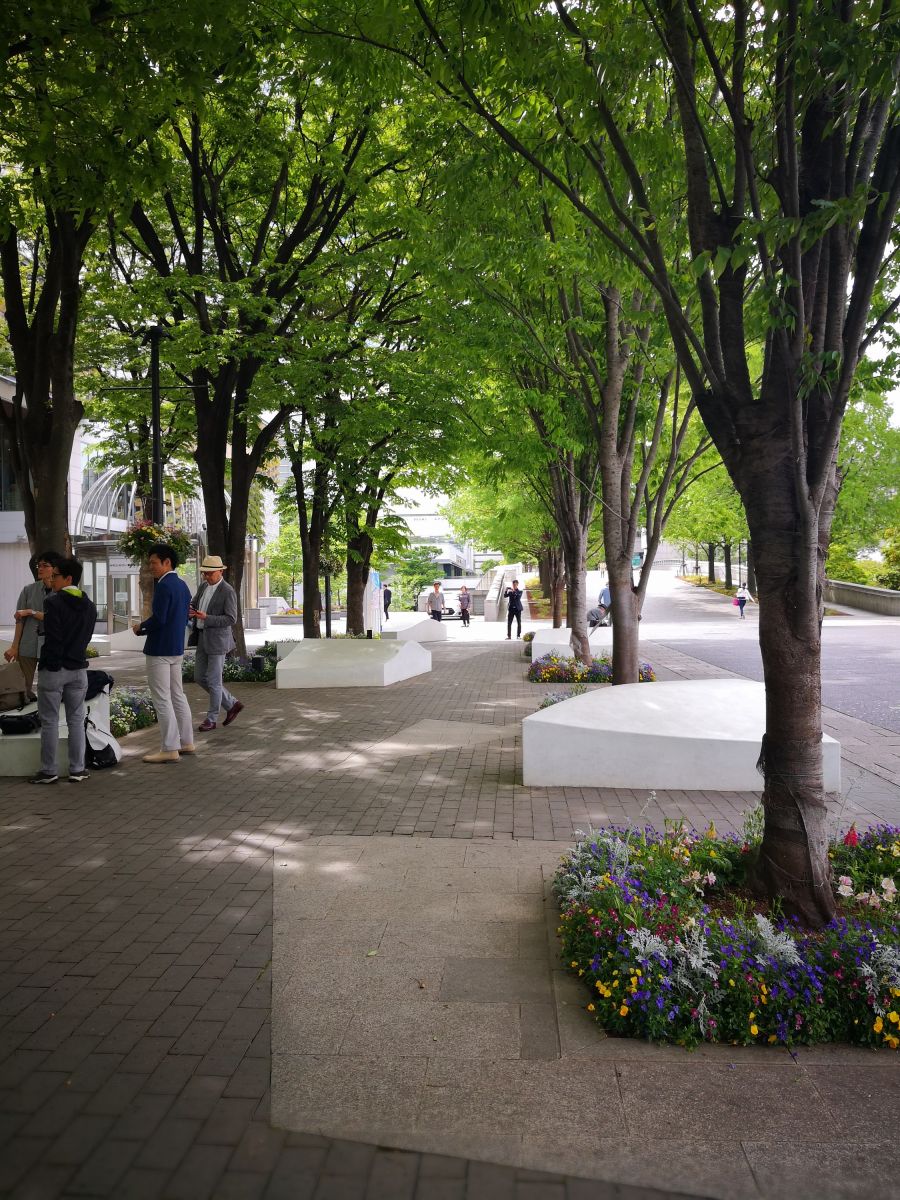 感受日本現(xiàn)代景觀和知名建筑 對話禪僧大師枡野俊明
