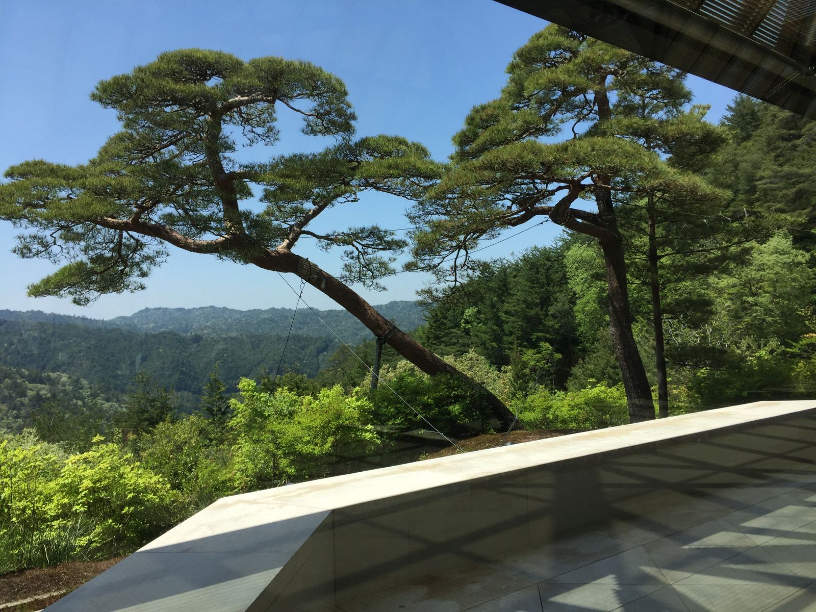 感受日本現(xiàn)代景觀和知名建筑 對話禪僧大師枡野俊明