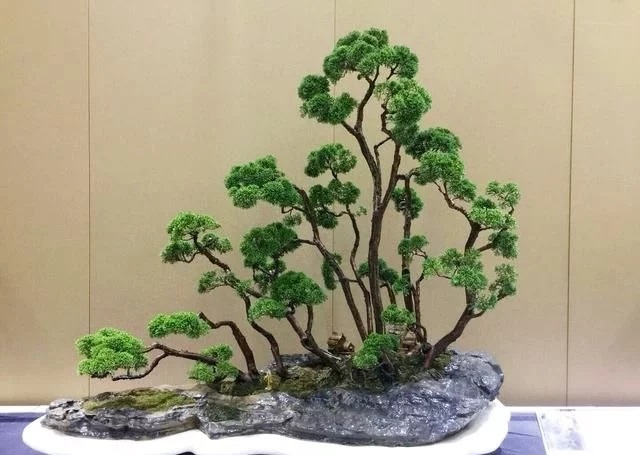 這些怪樁做成的盆景，隨便一盆都能換套房
