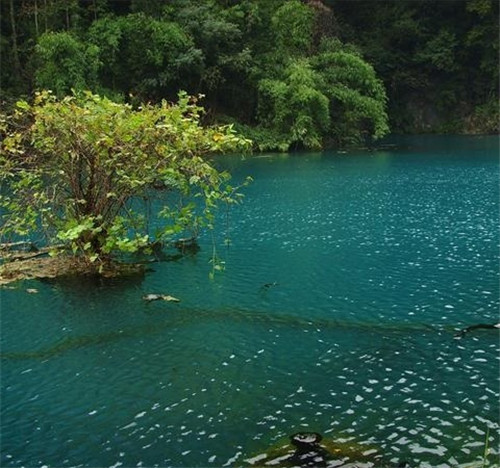 荔波樟江風(fēng)景名勝區(qū)——中國(guó)的超級(jí)盆景