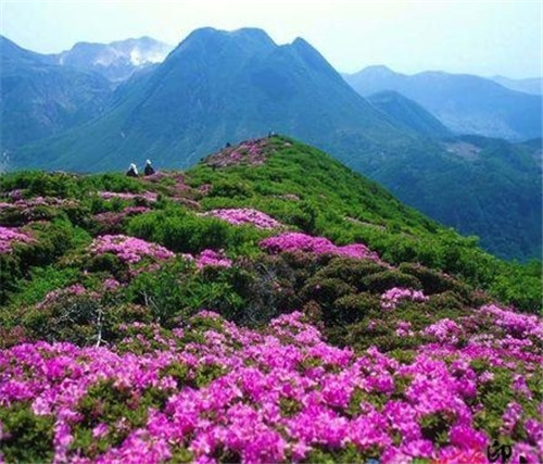 荔波樟江風(fēng)景名勝區(qū)——中國(guó)的超級(jí)盆景