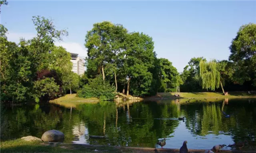 城市公園作為公共空間，如何展現城市魅力