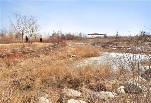 城市公園作為公共空間，如何展現城市魅力