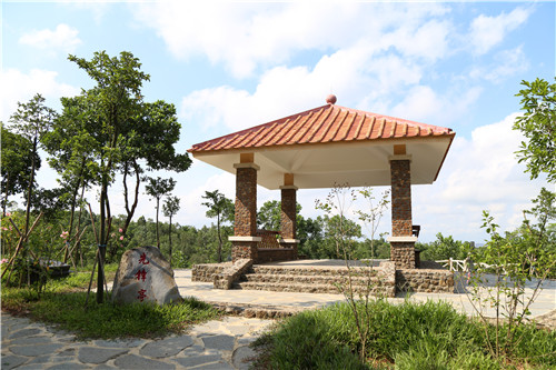 園冶杯專(zhuān)業(yè)獎(jiǎng)：不忘初心·共建紅林