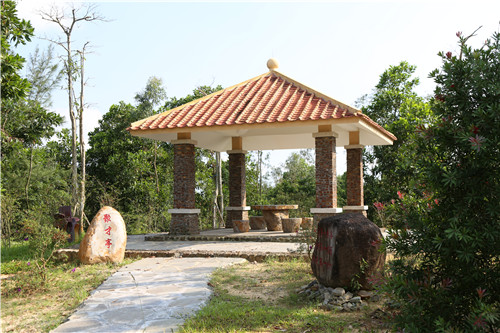 園冶杯專(zhuān)業(yè)獎(jiǎng)：不忘初心·共建紅林
