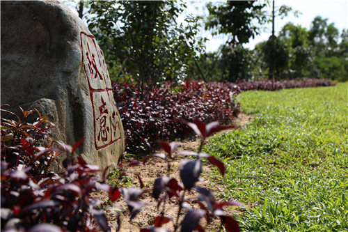 園冶杯專(zhuān)業(yè)獎(jiǎng)：不忘初心·共建紅林