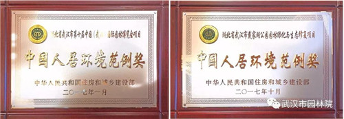 武漢園林設計院2019崗位已備好，“職”等你來選