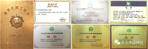 武漢園林設計院2019崗位已備好，“職”等你來選