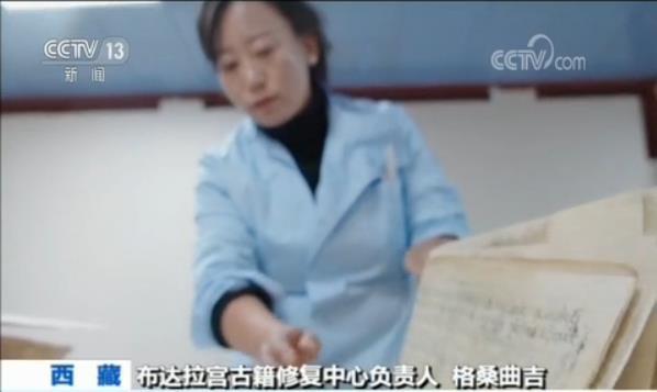 布達拉宮建筑設(shè)計圖首次亮相