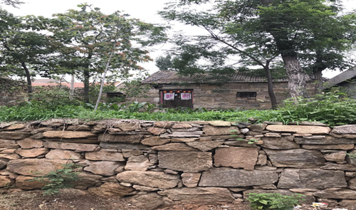 郗金標：養(yǎng)生小院——農村全面振興的模式探索