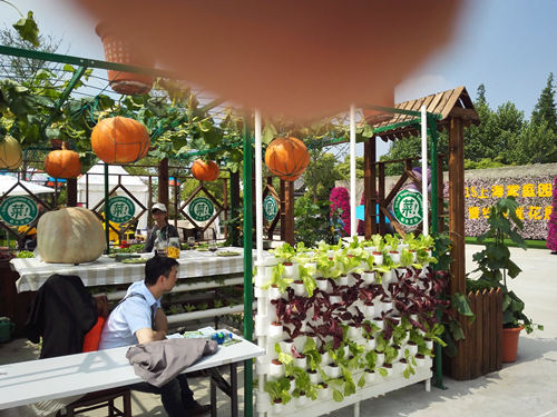 郗金標：養(yǎng)生小院——農村全面振興模式探索