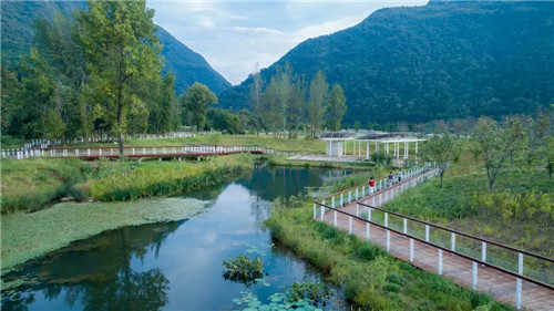 超低造價的生態(tài)景觀 | 秦嶺國家植物園人工濕地