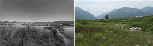 超低造價的生態(tài)景觀 | 秦嶺國家植物園人工濕地
