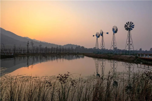 超低造價的生態(tài)景觀 | 秦嶺國家植物園人工濕地