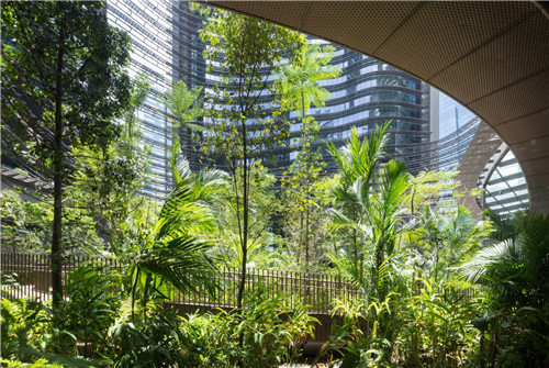 埃菲爾鐵塔周邊將改造為大花園，由哪位大師設計？