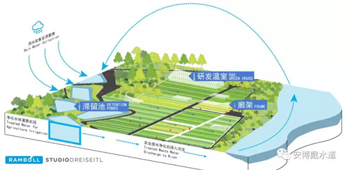 絳溪公社—成都天府國(guó)際空港新城絳溪河公園