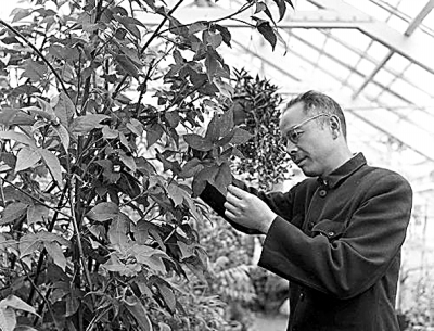 植物學(xué)家的人文視野