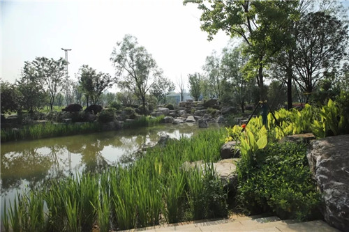 2019園冶杯專業(yè)獎丨長沙市望城區(qū)“一路一園”建設(shè)工程項(xiàng)目銀星灣公園