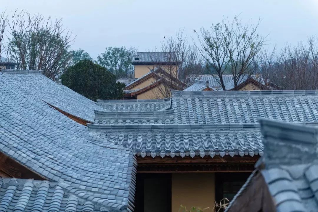 穿越千年盛唐，赴山水詩意之境 | 太白山·唐鎮