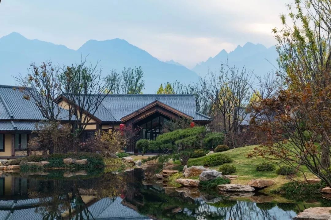 穿越千年盛唐，赴山水詩意之境 | 太白山·唐鎮