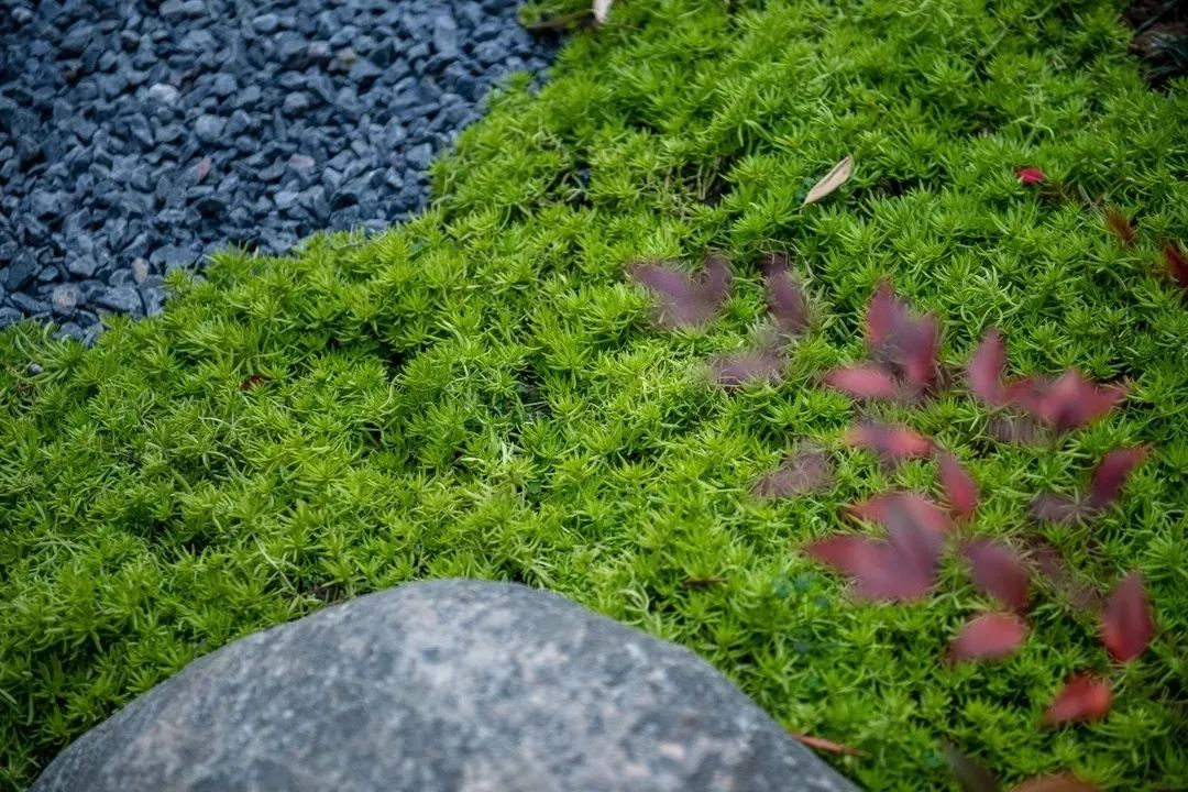 穿越千年盛唐，赴山水詩意之境 | 太白山·唐鎮