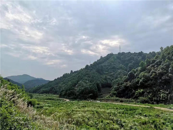直播預告|楊棋：九華霄云谷設(shè)計分享