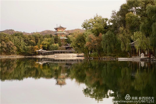 張曉鳴：審美引導(dǎo)也是園林人的使命