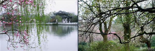 張曉鳴：審美引導(dǎo)也是園林人的使命