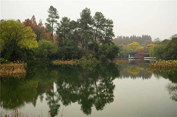張曉鳴：審美引導(dǎo)也是園林人的使命