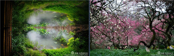 張曉鳴：審美引導(dǎo)也是園林人的使命