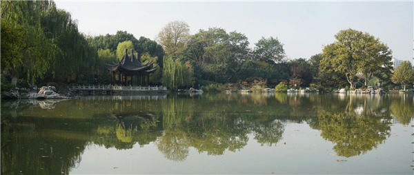 張曉鳴：審美引導(dǎo)也是園林人的使命