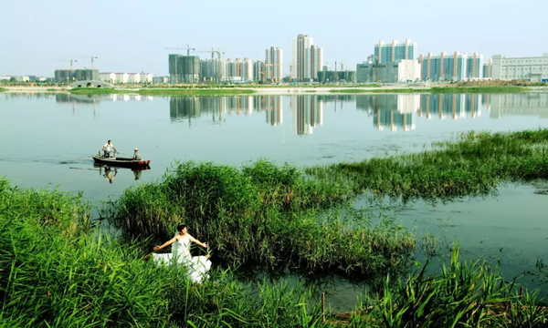 保護(hù)一方濕地，建設(shè)生態(tài)衡水