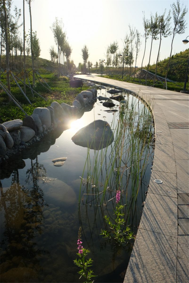 章俊華作品丨差異中的表述——博樂金三角工業(yè)區(qū)帶狀公園（一期）