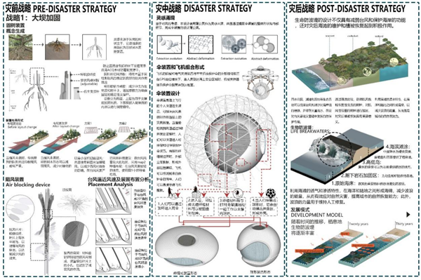 第十三屆園冶杯一等獎作品賞析丨逆風(fēng)而上