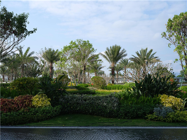 海南龍嶺清水灣IN+直播小鎮(zhèn)項(xiàng)目園林景觀設(shè)計(jì)