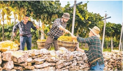 保護和推廣農(nóng)業(yè)遺產(chǎn)在哪些方面獲得成功？