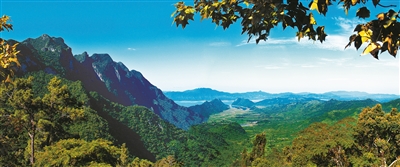 我國重點(diǎn)保護(hù)野生動(dòng)植物種群持續(xù)恢復(fù)
