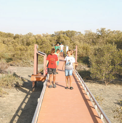 國(guó)外經(jīng)驗(yàn)：國(guó)家公園助力生物多樣性保護(hù)