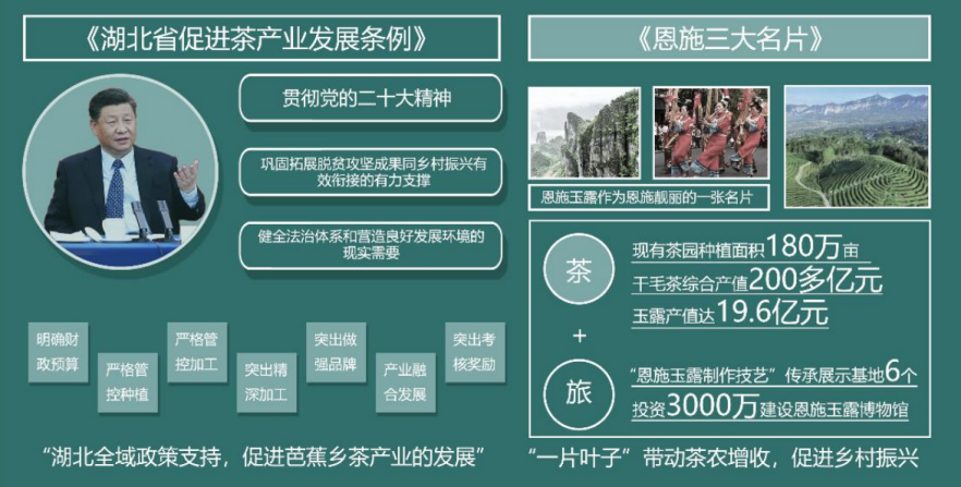 第二屆鄉(xiāng)村振興國際聯(lián)合畢業(yè)設(shè)計(jì)三等獎(jiǎng)作品丨玉露緣起·傳承共生