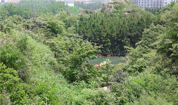 園冶杯參賽作品丨嘉魚(yú)縣濱江生態(tài)提升