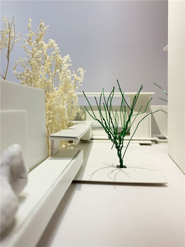 園冶杯參賽作品丨桐鄉(xiāng)香格里拉某庭院