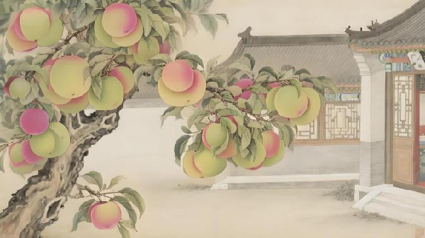 碩果飄香·豐涵海淀丨海淀李子：紫玉垂枝，酸甜馥郁