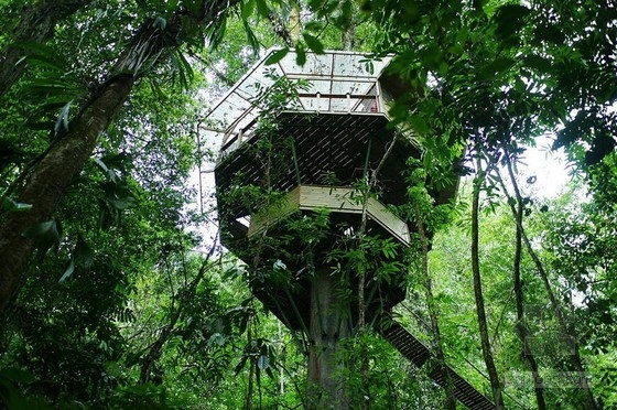 可持續(xù)樹(shù)屋社區(qū)