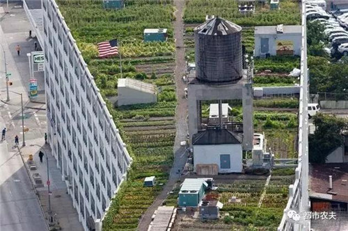 全球最大屋頂菜園如何運(yùn)營(yíng)