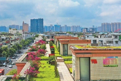成都天府新區(qū)：讓公園城市有機生長