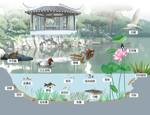 蘇州園林，何以展現生態意境？